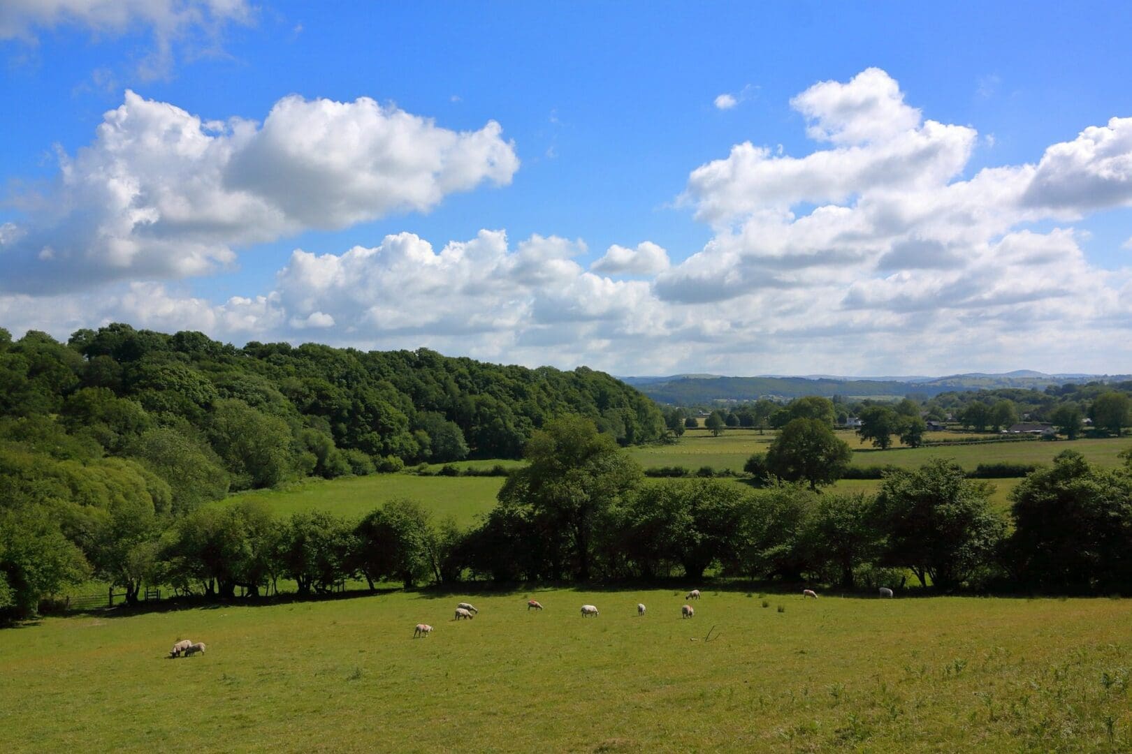 Putting Wales on the map: a Welsh road trip through the ages