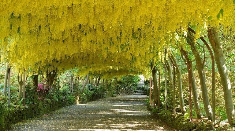 Bodnant Gardens Wales