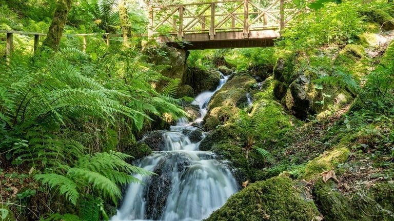 Canonteign Falls Teign Valley Devon