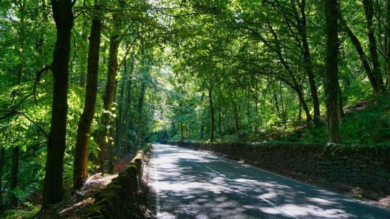 Peak District road tree-lined pass