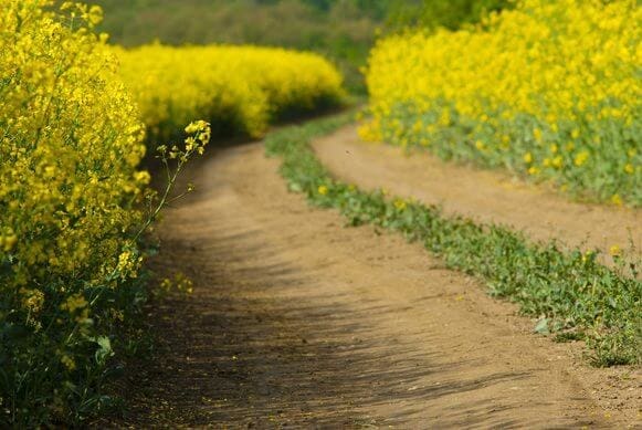 Green laning under threat following landscapes review