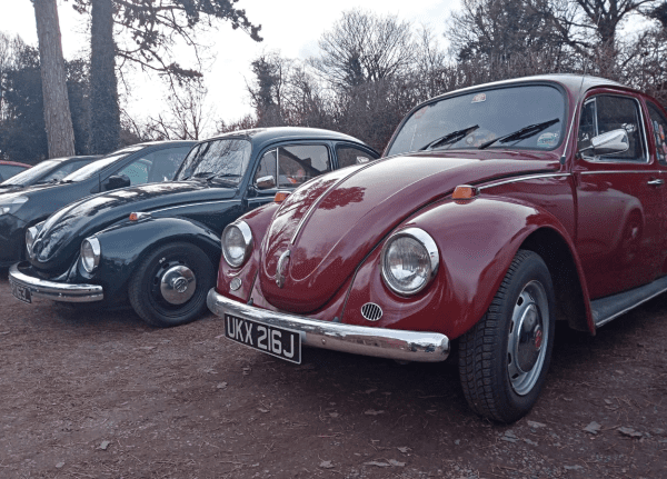 Adam and Kerry Davies Beetles together